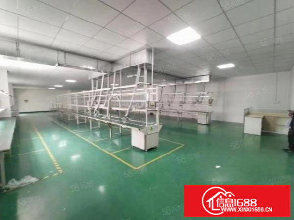 龙华汽车站旁新出楼上750平洁净车间