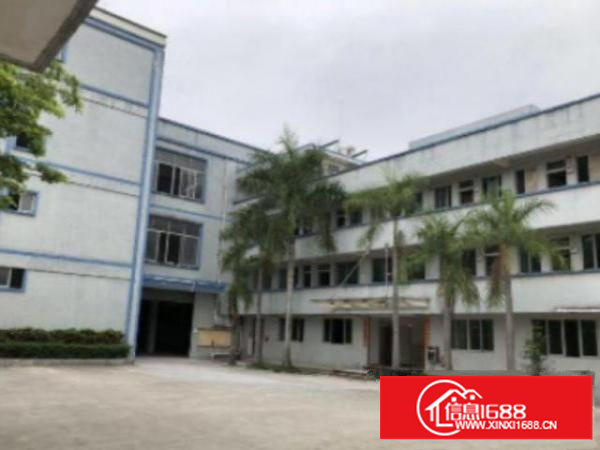 万江2000平米一楼标准厂房出租，水电齐全