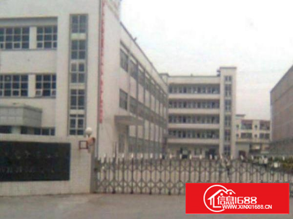 万江物流仓库500至20000平方招租