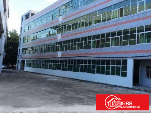 三中全新改造厂房1至4层每层700多平可分租