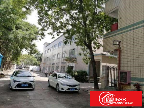 观澜街道库坑原房东厂房出租