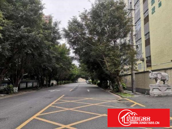 出租龙岗坪地坪西标准工业厂房