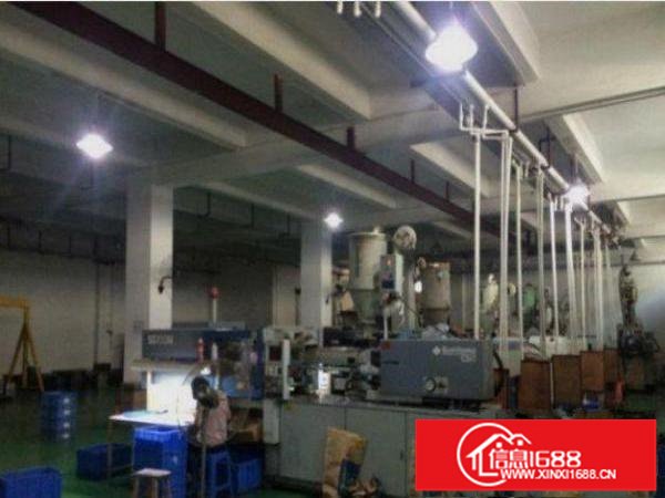 平湖辅城坳工业标准一楼1000平招租带消防喷淋