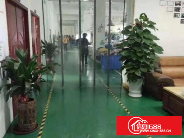 龙岗中心城龙岗同乐无尘车间厂房单层面积1200