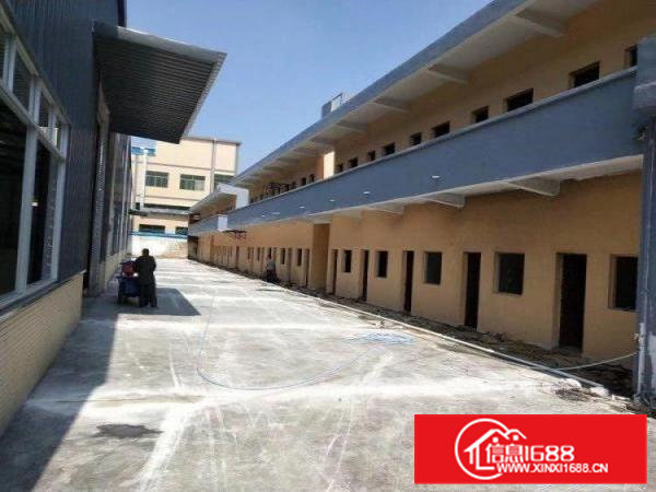 横沥镇国有证地皮，单一层钢构独院出租