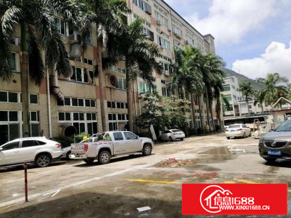 龙岗嶂背原房东16元一楼1300平厂房出租无公摊