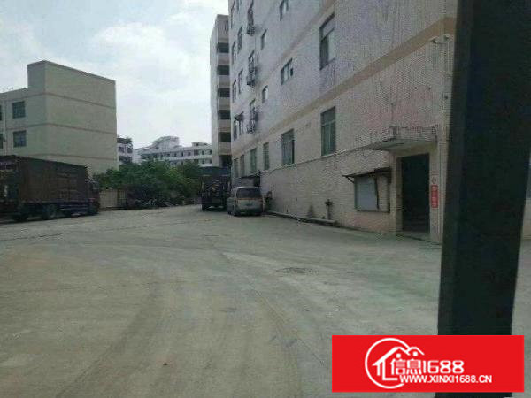 平湖山厦工业区标准一楼1500平米业主直租可分租