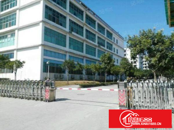 宝龙红本厂房出租1500平2500平4000平龙岗