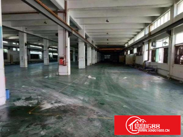 坪山区坑梓大型工业区新出一楼1000平实际面积出租