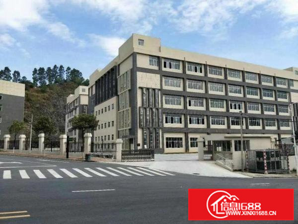 横沥镇工业区标准厂房8500平方招租消防合格