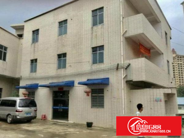 浮岗厂房1楼600平方，无尘车间，特价出租