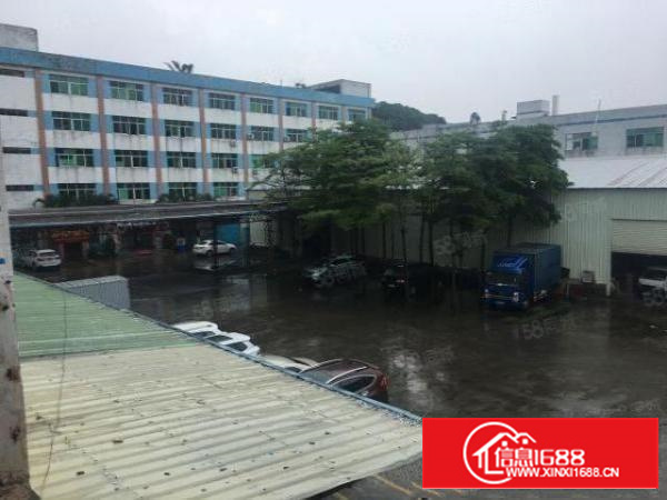 石碣水南标准独院厂房招租一楼400平方，现成办公室！