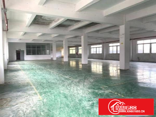 带装修，清溪浮岗独院，标准厂房二楼2600平米招租