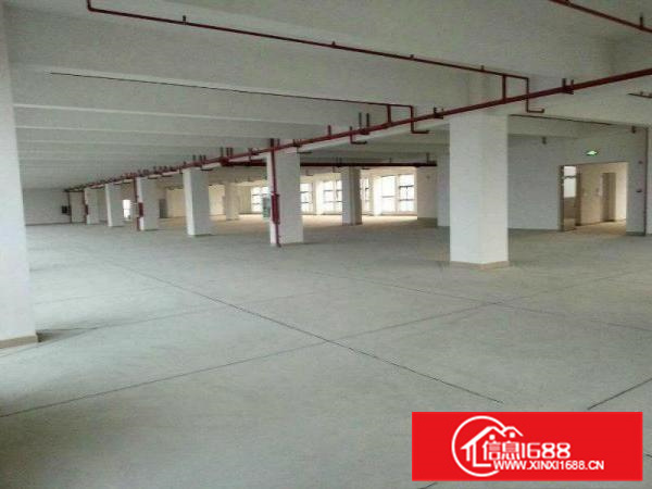 惠阳秋长新出一楼1500平标准厂房出租