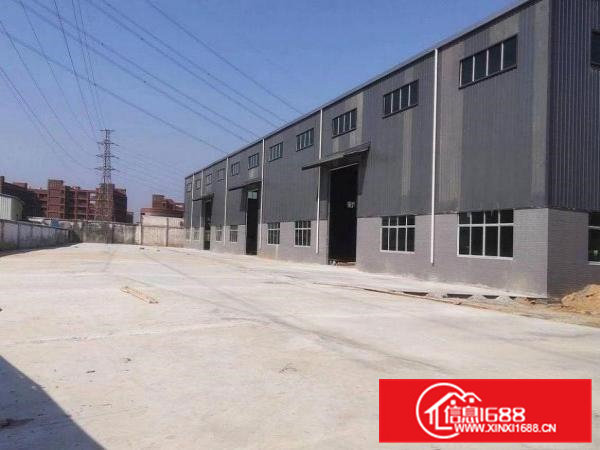 天堂围原房东独院厂房可分租500平方,空地大