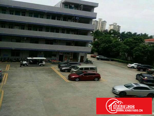 一楼整层1000平方出租可分租