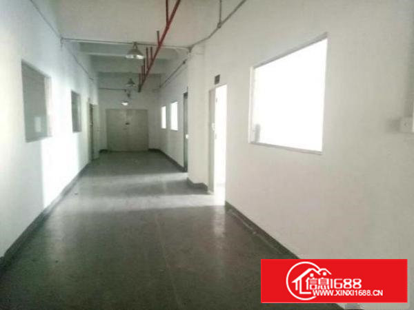 西乡洲石路边上黄麻布第三工业区附近带装修厂房1100平米