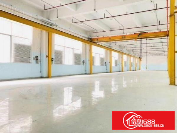 凤岗镇标准14600滴水7米带牛角装修水电现成行车分租