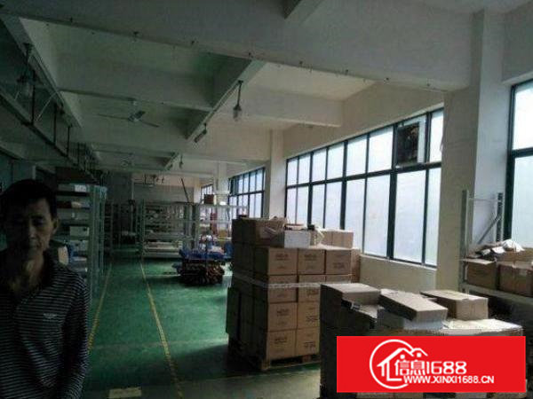 桥头朗厦独院分租一楼800平方原房东