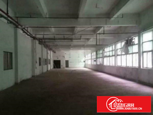 万江标准1600平米低价招租