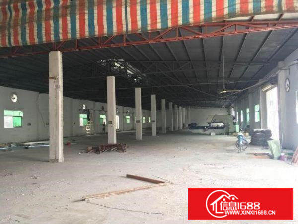 ~~沙湖花园式3000平米单一层独院厂房，可以分租，大空地~