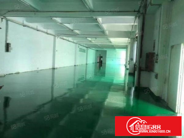 精装修！无转让费！坪山坑梓二楼600平水电齐全厂房出租