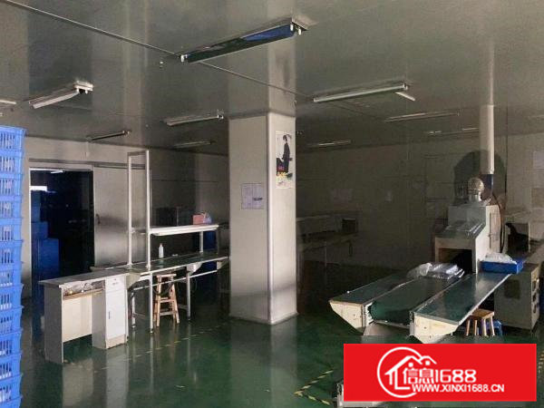 清溪新出做口罩车间厂房2000平方精装修有地坪漆办公家具齐全