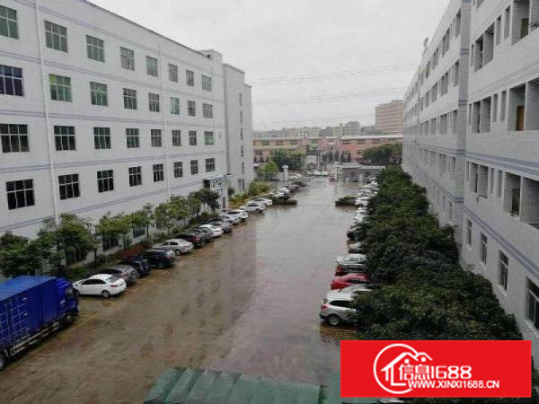 惠阳新圩10000平方独院出租