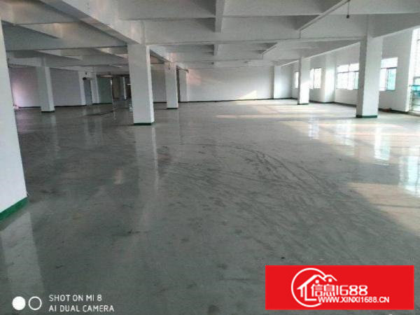 大宁工业区空出800平方带装修厂房出租，全新地坪漆