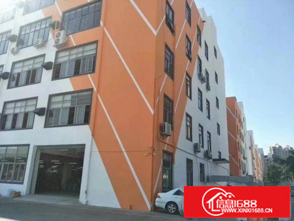 坂田带装修仓库，厂房出租200平500平1000平可分