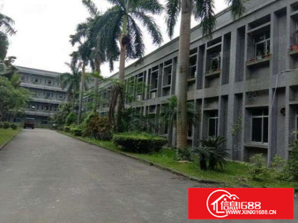 横沥裕林新出一楼标准厂房750平方进厂就可以生产，面积实量