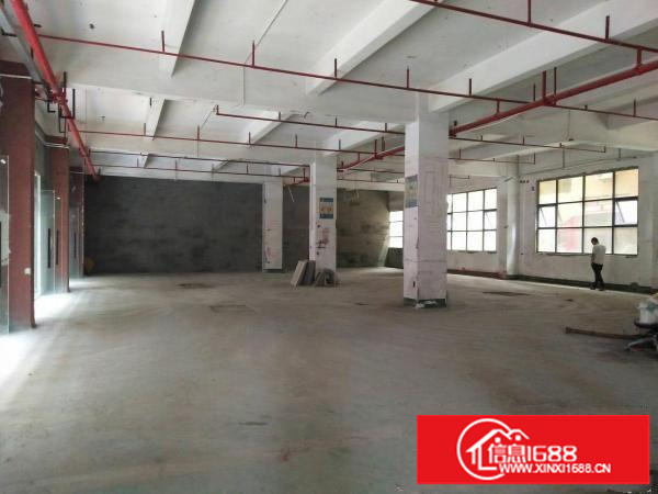 布吉近坂田布龙路第一排300;600平厂房