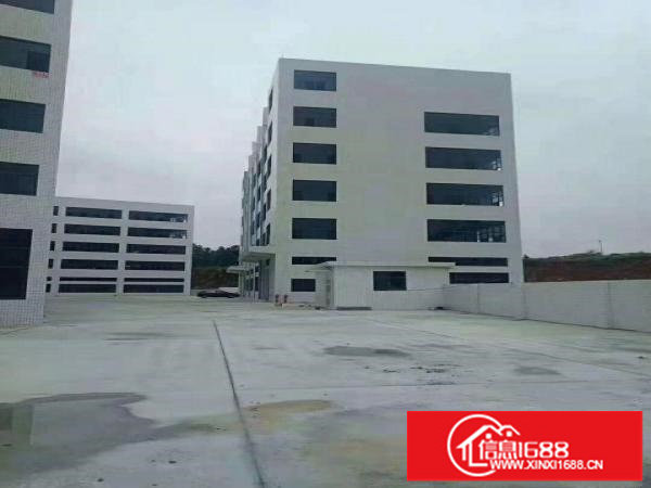 龙岗坪地原房东厂房适合高新产业电子贸易科技医疗研发等