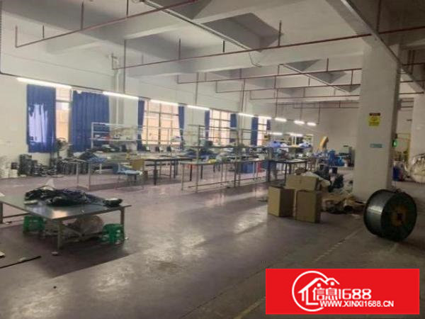 龙岗新出精装修1500平厂房两个全新货梯，可办环评