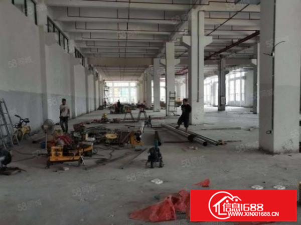 龙江镇陈涌全新，可办环评，可分租，带红本厂房