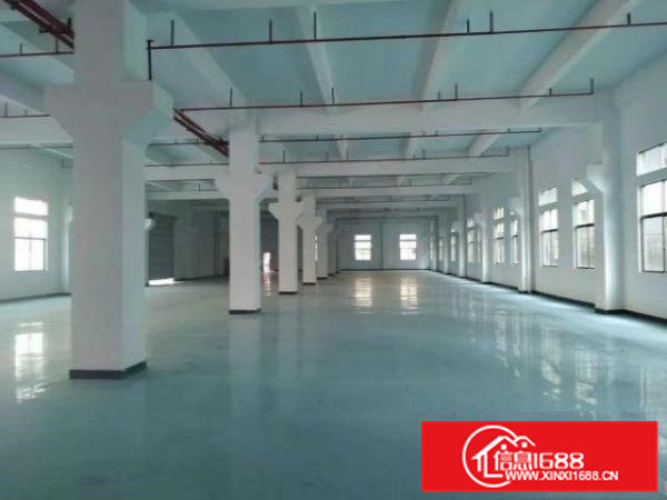 东莞市横沥镇原房东出租西城工业区独门独院厂房