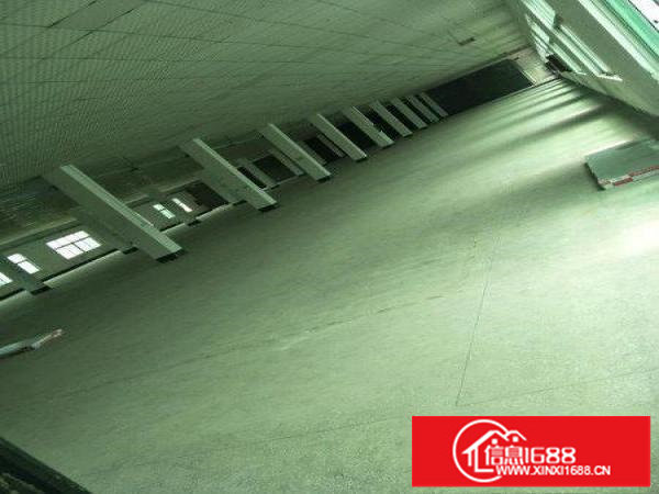 坪山石井楼上三千平方精装修原房东带红本出租