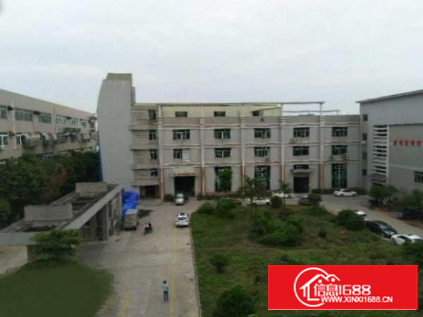 万江花园式厂房分租一楼800平方;价格便宜地段好