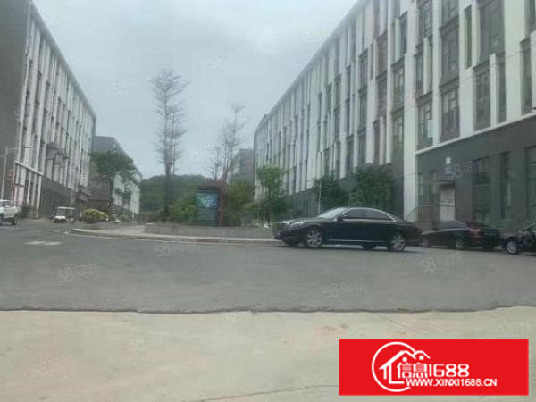 清溪三中原房东独院厂房11000平实际面积出租，形象高大上