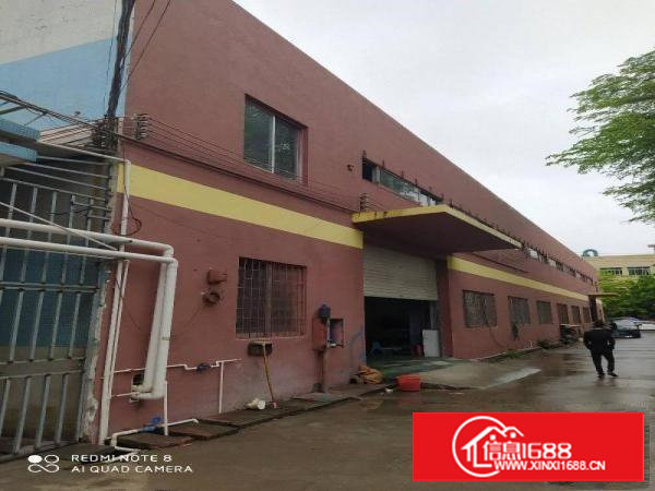 单一层独院钢构铁皮厂房500平出租