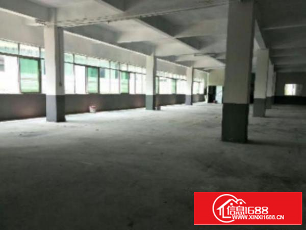 万江新出独门独院厂房2000平方出租适合电子、贸易、制衣厂等