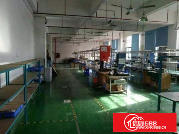 桥头邵岗头新出楼上900平方带装修厂房出租