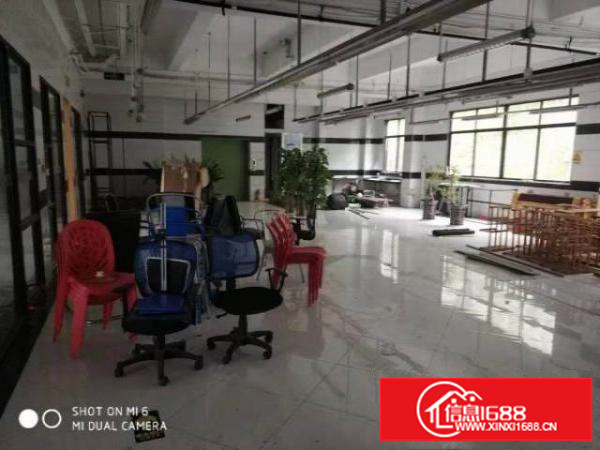 横岗六约埔厦工业区现成服装展厅920平米招租无需转让费