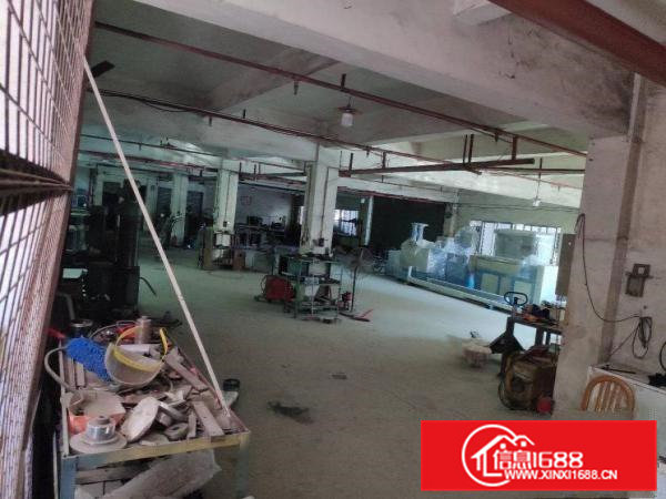 虎门新出豪华独栋厂房直租