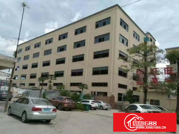 常平袁山贝14140全新标准厂房火热招商中！