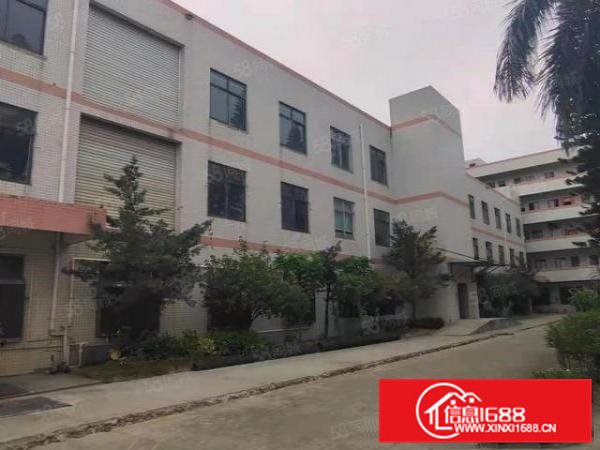 大岭山月山新出3楼1200平现成无尘车间标准厂房出租，水电齐