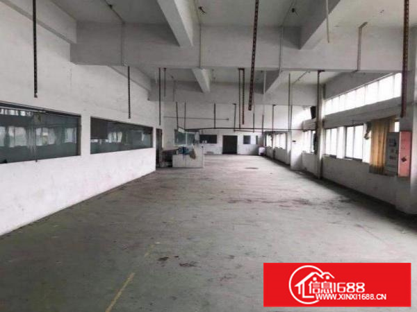 惠阳新墟独门独院三层每层2000方整栋出租可分租