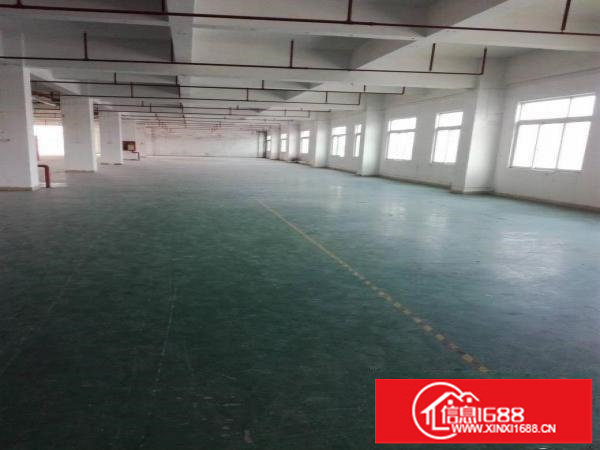 龙岗原房东厂房仓库办公室宿舍招租