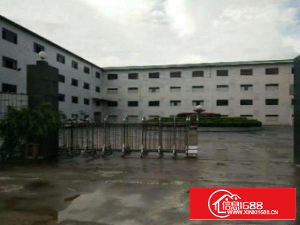 万江6500平方标准独院花园式厂房招租、保护膜、工艺