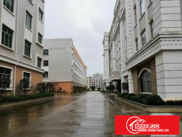 清溪重河村分租一楼厂房500平，采光好